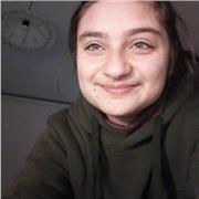 inglese ITALIANO ARABO INSEGNO CON CERTIFICAZIONE CAMBRIDGE PRESS